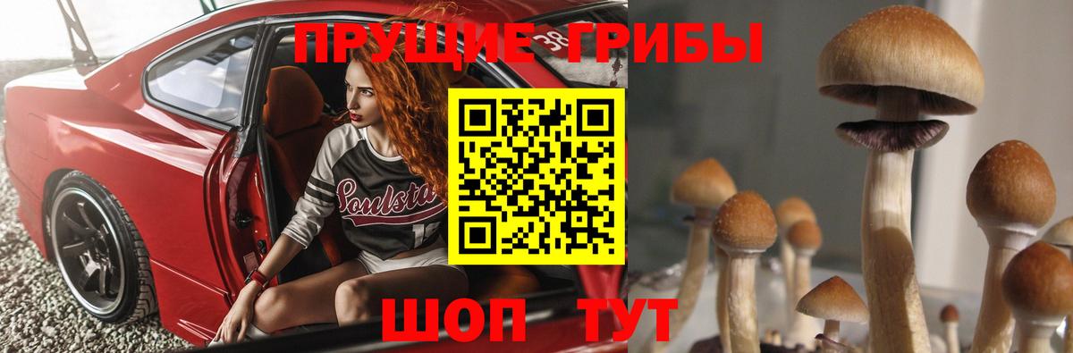 Шадринск  Галлюциногенные грибы мицелий  Вход с VPN 